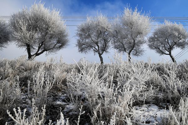 Frost-proof Russians: Siberian Cities Prepared for Winter - Sputnik International