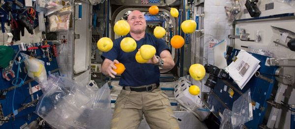 Extraterrestrial: What Life on International Space Station is Like Extraterrestrial: What Life on International Space Station is Like - Sputnik International