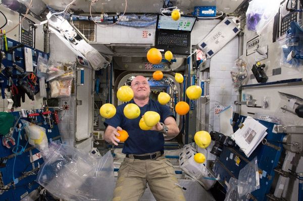 Extraterrestrial: What Life on International Space Station is Like - Sputnik International