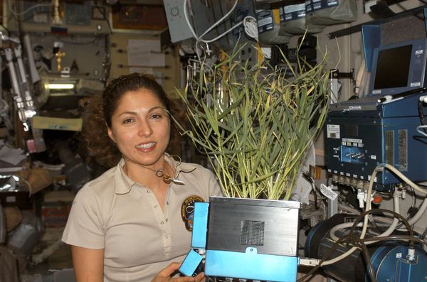 Extraterrestrial: What Life on International Space Station is Like - Sputnik International
