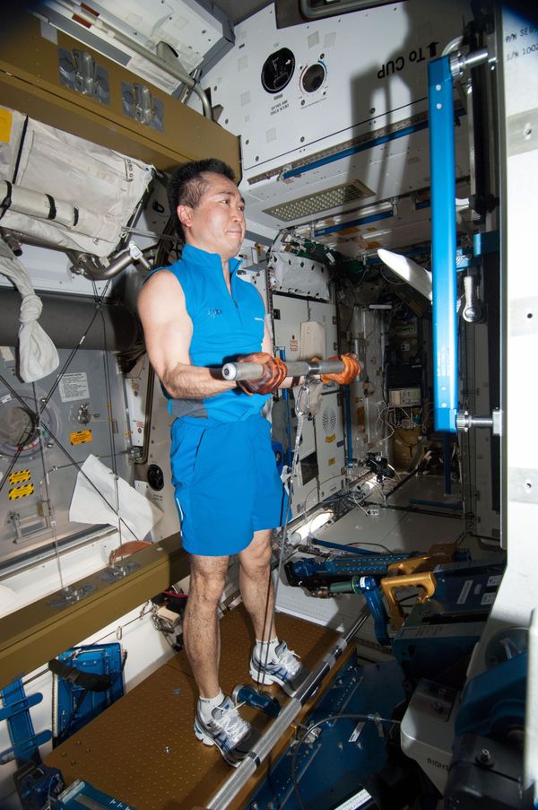 Extraterrestrial: What Life on International Space Station is Like - Sputnik International