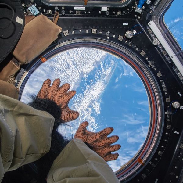 Extraterrestrial: What Life on International Space Station is Like - Sputnik International