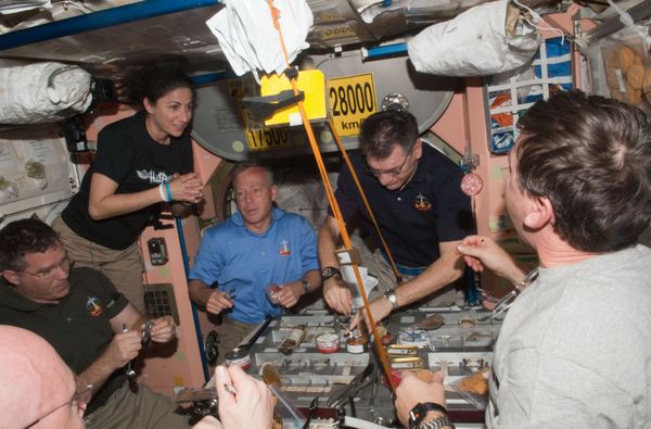 Extraterrestrial: What Life on International Space Station is Like - Sputnik International