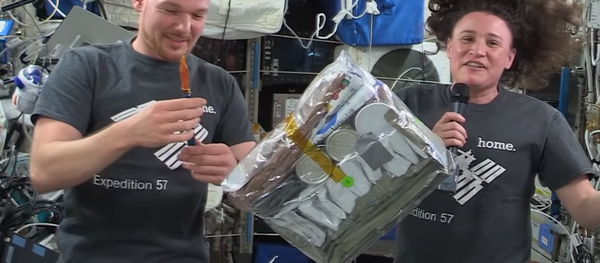 Thanksgiving at the International Space Station Thanksgiving at the International Space Station - Sputnik International