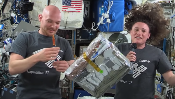 Thanksgiving at the International Space Station - Sputnik International