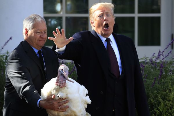 President Donald Trump pardons Peas a National Thanksgiving Turkey, during a ceremony in the Rose Garden of the White House, in Washington President Donald Trump pardons Peas a National Thanksgiving Turkey, during a ceremony in the Rose Garden of the White House, in Washington - Sputnik International