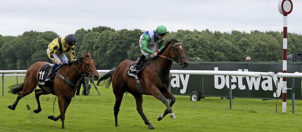 Pennsylvania Dutch ridden by Ben Curtis wins The Betway Sprint Handicap Stakes at Haydock Racecourse, Britain, Saturday, June 10, 2017 - Sputnik International
