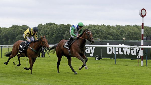 Pennsylvania Dutch ridden by Ben Curtis wins The Betway Sprint Handicap Stakes at Haydock Racecourse, Britain, Saturday, June 10, 2017 - Sputnik International