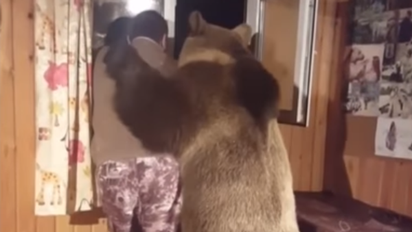 A Bear Hugs a Man A Bear Hugs a Man - Sputnik International