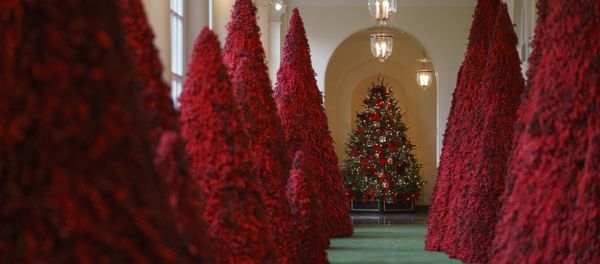 Topiary trees line the East colonnade during the 2018 Christmas Press Preview at the White House in Washington, Monday, Nov. 26, 2018. Christmas has arrived at the White House. - Sputnik International