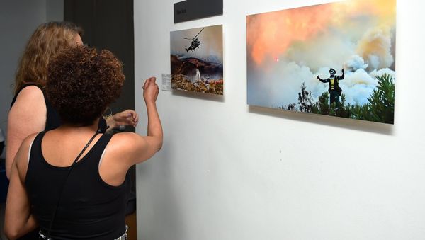 Opening of an exhibition of winners of a competition of Andrey Stenin in Cape Town - Sputnik International