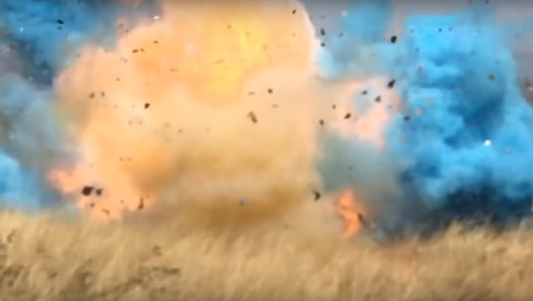 US Forest Service release footage showing the moment in which the Sawmill fire was sparked at a gender reveal party for expectant parents - Sputnik International