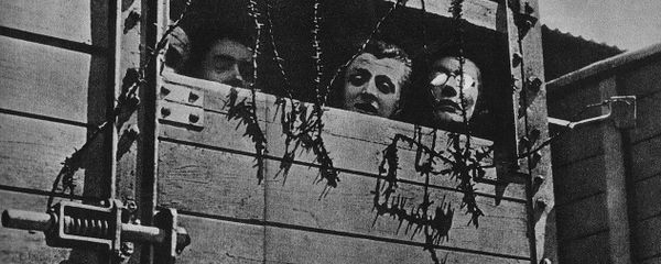 Jews in a railway car in the way to the nazi death camp during the Second World War in Europe a the time of the Holocaust - Sputnik International