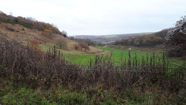 Wild Park on the outskirts of Brighton (pictured), was the scene of the murders in 1986 - Sputnik International