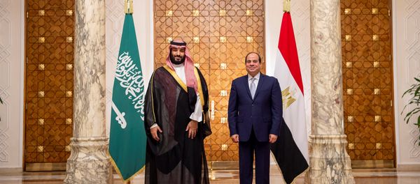 Saudi Arabia's Crown Prince Mohammed bin Salman stands next to Egyptian President Abdel Fattah al-Sisi at the Presidential Palace in Cairo, Egypt November 27, 2018 Saudi Arabia's Crown Prince Mohammed bin Salman stands next to Egyptian President Abdel Fattah al-Sisi at the Presidential Palace in Cairo, Egypt November 27, 2018 - Sputnik International