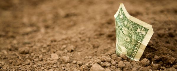 US dollar US dollar - Sputnik International