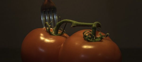 Tomatoes Tomatoes - Sputnik International