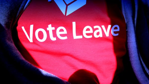 Vote Leave - Sputnik International