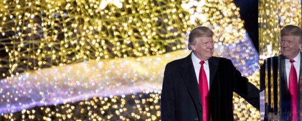 President Donald Trump stands on stage after lighting the 2017 National Christmas Tree on the Ellipse near the White House, Thursday, Nov. 30, 2017, in Washington. - Sputnik International