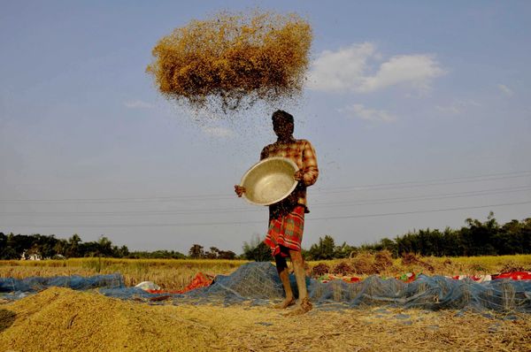 This Week in Pictures: 1 - 7 December This Week in Pictures: 1 - 7 December - Sputnik International