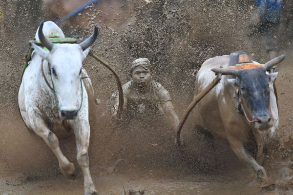 This Week in Pictures: 1 - 7 December This Week in Pictures: 1 - 7 December - Sputnik International