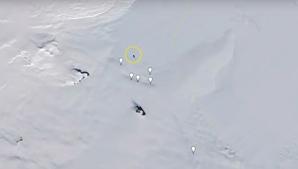 Melting Ice Reveals MASSIVE Web - Sputnik International