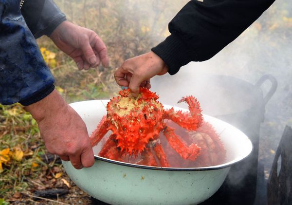 Shikotan Island Residents are Cooking Crabs Shikotan Island Residents are Cooking Crabs - Sputnik International