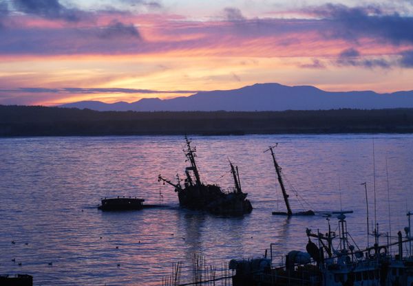 A Sunset on Kunashir Island A Sunset on Kunashir Island - Sputnik International