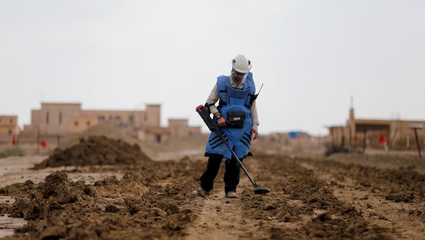A man holds a device to detect mines in an area recently cleared of mines and unexploded ordnance in a project to clear the area near Qasr Al-Yahud, a traditional baptism site along the Jordan River, near Jericho in the occupied West Bank, December 9, 2018 A man holds a device to detect mines in an area recently cleared of mines and unexploded ordnance in a project to clear the area near Qasr Al-Yahud, a traditional baptism site along the Jordan River, near Jericho in the occupied West Bank, December 9, 2018 - Sputnik International