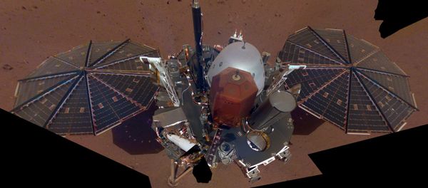 This is NASA InSight's first selfie on Mars. It displays the lander's solar panels and deck. On top of the deck are its science instruments, weather sensor booms and UHF antenna. The selfie was taken on Dec. 6, 2018 This is NASA InSight's first selfie on Mars. It displays the lander's solar panels and deck. On top of the deck are its science instruments, weather sensor booms and UHF antenna. The selfie was taken on Dec. 6, 2018 - Sputnik International