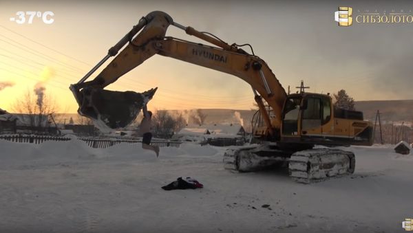 Excavator carousel - Sputnik International
