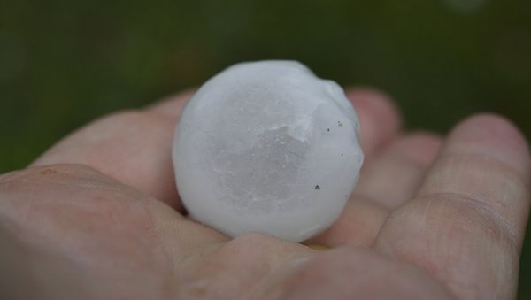 A large piece of hail is seen during a storm in Sydney, Australia, December 20, 2018 - Sputnik International