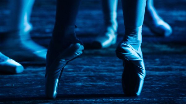 Ballet dancers' legs  - Sputnik International