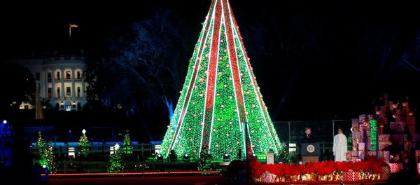 Annual National Christmas Tree Lighting Ceremony in Washington - Sputnik International