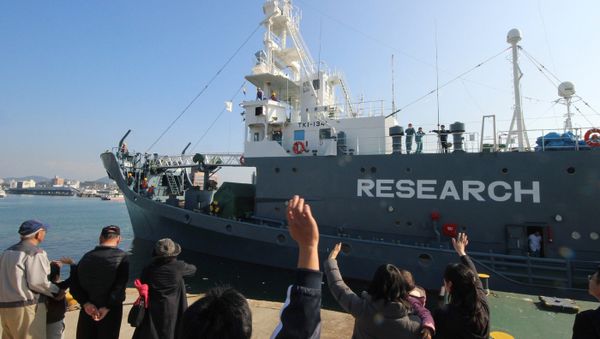 (FILES) In this file photo taken on December 1, 2015, a Japanese whaling ship leaves the port of Shimonoseki in Yamaguchi prefecture, western Japan to resume whale hunting in the Antarctic. - Sputnik International