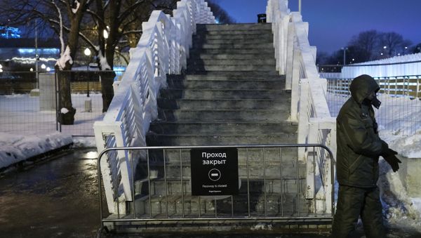 The collapsed pedestrian bridge in Moscow's Gorky Park - Sputnik International