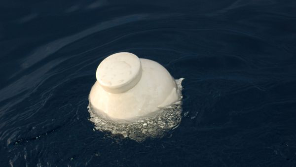 Funeral Urn - Sputnik International
