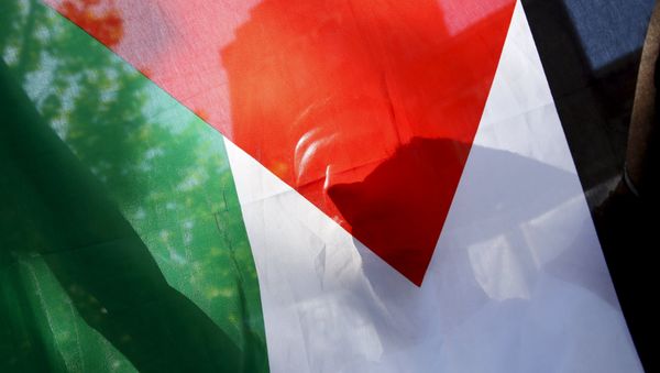 A Palestinian refugee holds the flag of Palestine during a protest in Madrid, Spain, July 21, 2015 - Sputnik International