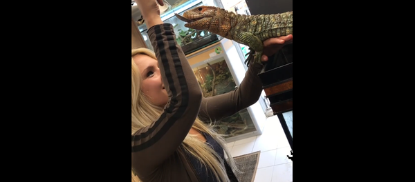 Breakfast for Iguana Breakfast for Iguana - Sputnik International