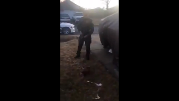 Arkansas deputy fired after shooting aggressive Chihuahua - Sputnik International