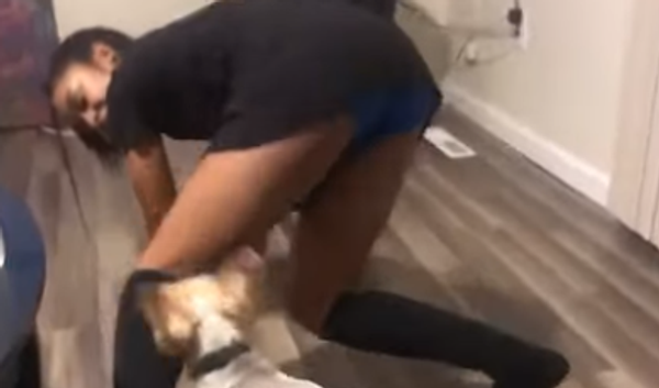 Pup and Girl Twerking - Sputnik International