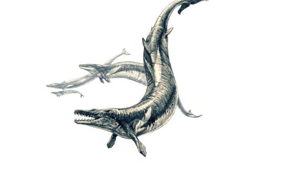 Basilosaurus - Sputnik International