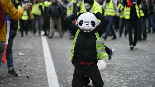 Yellow Vests protest in Paris. 12 January - Sputnik International