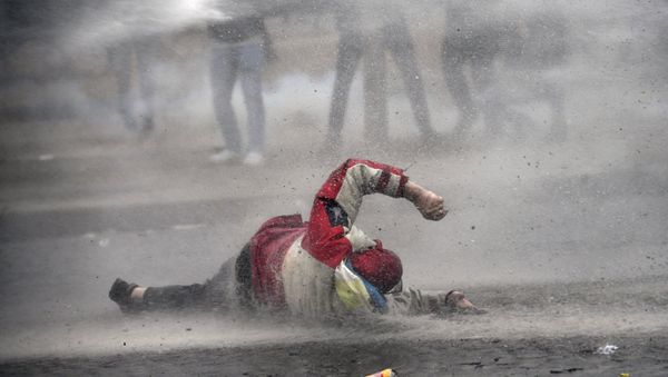 Participant of the Yellow Vests protest in Paris - Sputnik International