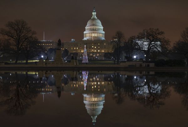COVID-19, Border Wall & Economic Stall: How Have Trump's Domestic Politics Fared in His Four Years? COVID-19, Border Wall & Economic Stall: How Have Trump's Domestic Politics Fared in His Four Years? - Sputnik International