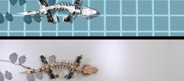 Bringing a Fossil to Life Bringing a Fossil to Life - Sputnik International
