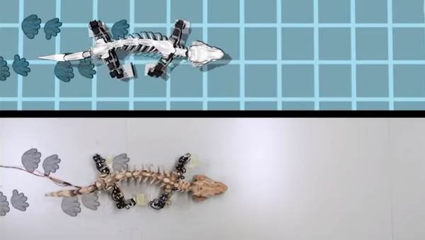 Bringing a Fossil to Life - Sputnik International