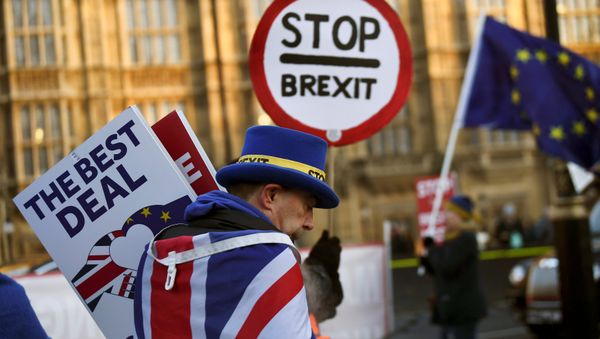 An anti-Brexit protester walks outside the Houses of Parliament in London, Britain January 17, 2019 An anti-Brexit protester walks outside the Houses of Parliament in London, Britain January 17, 2019 - Sputnik International