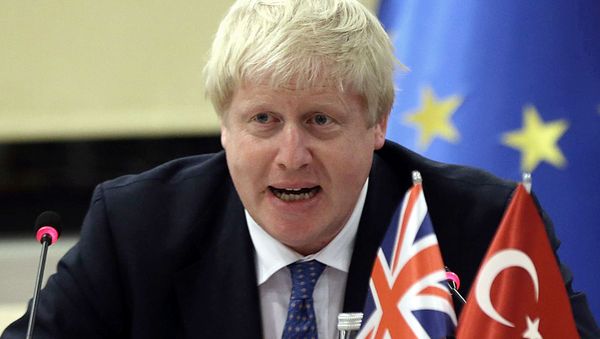 British Foreign Minister Boris Johnson holds a press conference with the Turkish EU Affairs minister (not seen) in Ankara on September 26, 2016. - Sputnik International