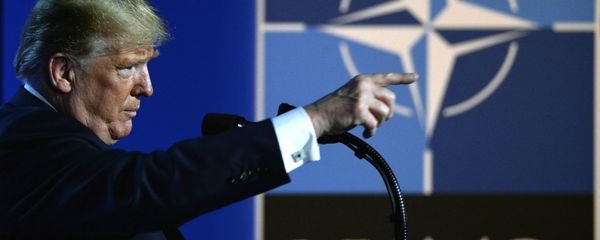 US President Donald Trump - Sputnik International
